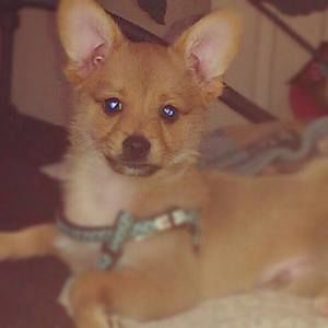 Meet your Posher, Sammantha